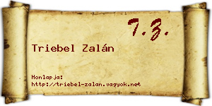 Triebel Zalán névjegykártya
