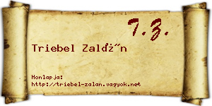 Triebel Zalán névjegykártya